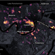 Annotated map showing New Orleans on August 31, just two days after Hurricane Ida swept through the city.